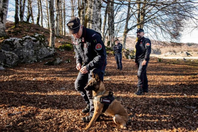 Allevava cani di razza Husky tra i rifiuti, denunciato