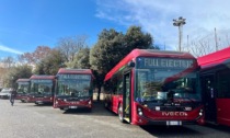 Dà un pugno al vetro del bus, autista ferito al volto