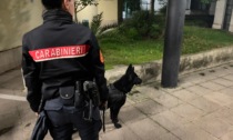 Pigneto, Malatesta e Torpignattara, i controlli
