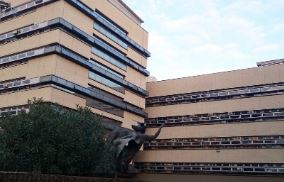 False consulenze a favore del narcos, psichiatra a processo