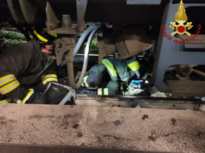 Gatto si nasconde sotto un treno in partenza, salvato dai Vigili del Fuoco