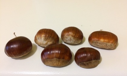Castagne estere spacciate per italiane, sequestrate oltre 50mila confezioni