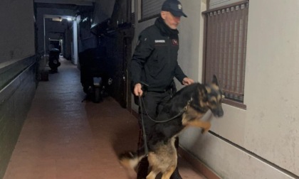Spaccio di droga a domicilio, 11 arresti