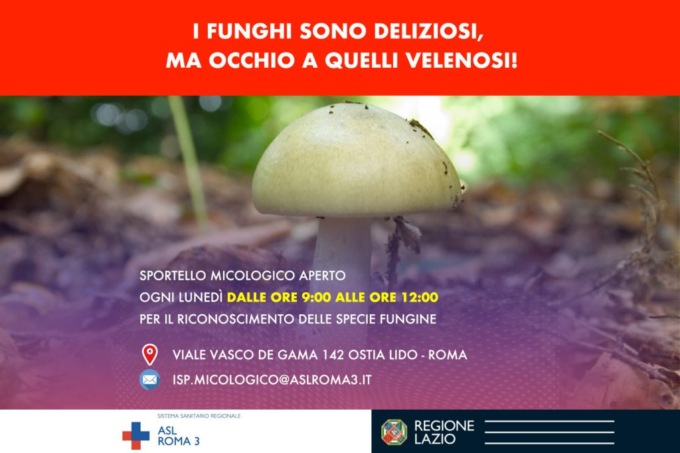 Ostia, sportello micologico della ASL Roma 3 per prevenire intossicazioni da funghi
