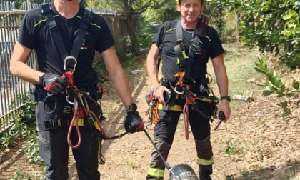 Doppio salvataggio dei Vigili del Fuoco nel fossato del Forte