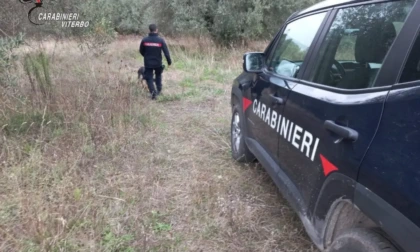 Spaccio nei boschi con i call center, sette arresti