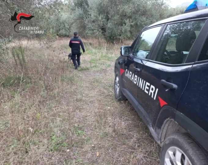 Spaccio nei boschi con i call center, sette arresti