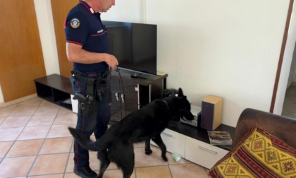Nascondeva la droga in casa mentre era i domiciliari