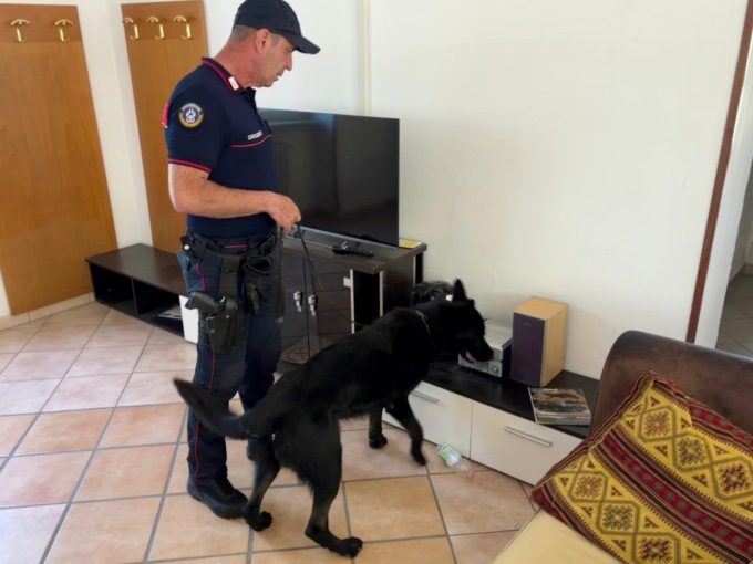 Nascondeva la droga in casa mentre era i domiciliari