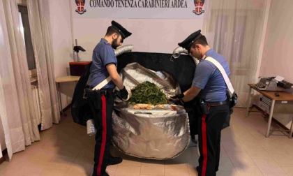 Controlli sul litorale, droga coltivata in casa e lavoro nero nello stabilimento balneare
