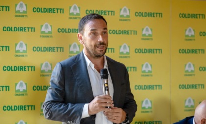 Latte, Coldiretti Lazio lancia l'allarme