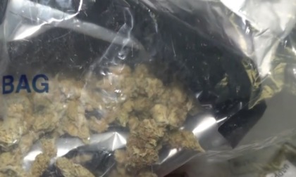 Maxi sequestro di droga, arrestate due ragazze incensurate