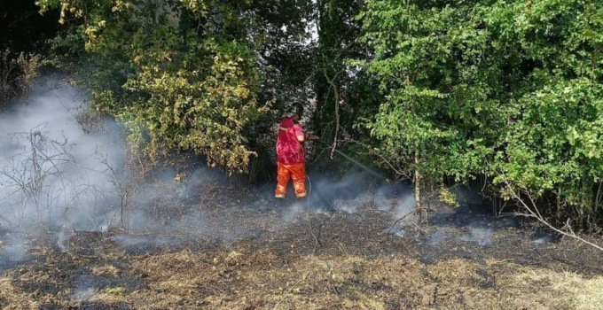Incendi di sterpaglie a Castel Campanile e Cerveteri