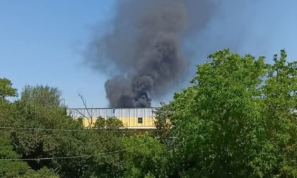 Incendio distrugge cinque furgoni