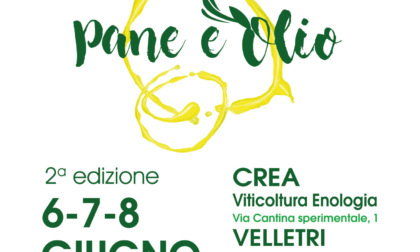 "Pane e olio", tutto pronto