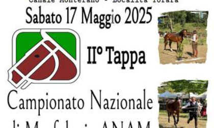 Successo per la 45esima edizione del Riarto dei Butteri