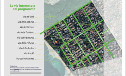 Raccolta del verde, al via la sperimentazione