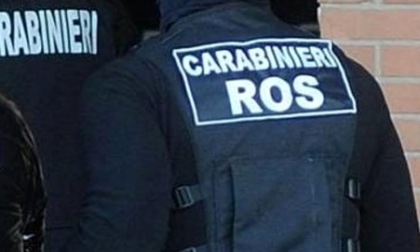 Istigazione al terrorismo e propaganda, un arresto