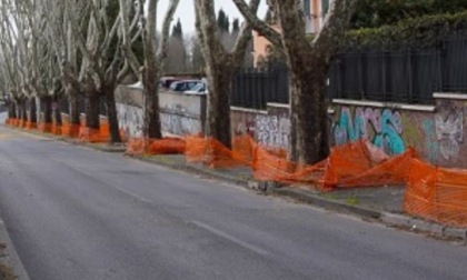 Investito e ucciso a piazza Galeria