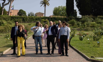 Restyling nel cuore del Roseto