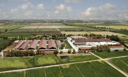 Cent'anni di vita e di terra: l’Azienda Agricola Maccarese festeggia un secolo