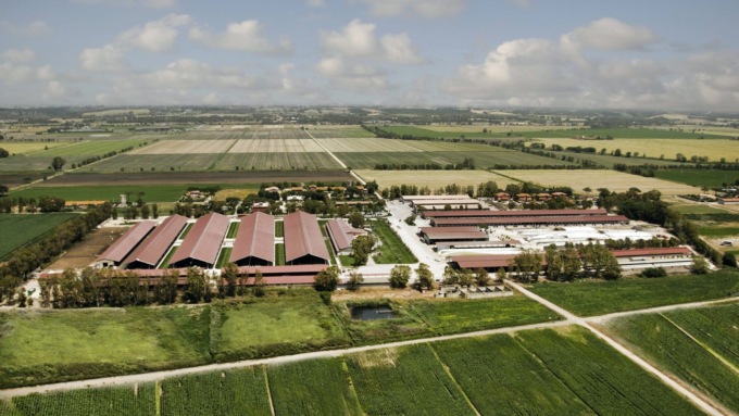 Cent’anni di vita e di terra: l’Azienda Agricola Maccarese festeggia un secolo