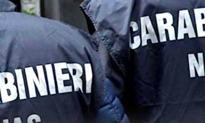 Traffico di farmaci dopanti, perquisizioni dei Nas in 40 province