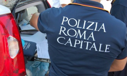 Sottraeva monete all’interno della Fontana del Nettuno, denunciato