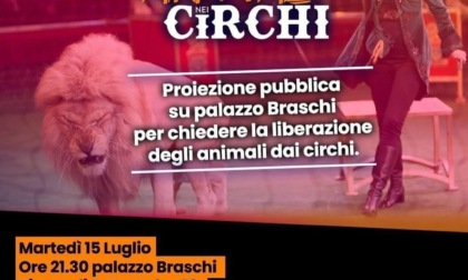Animali nei circhi, la manifestazione