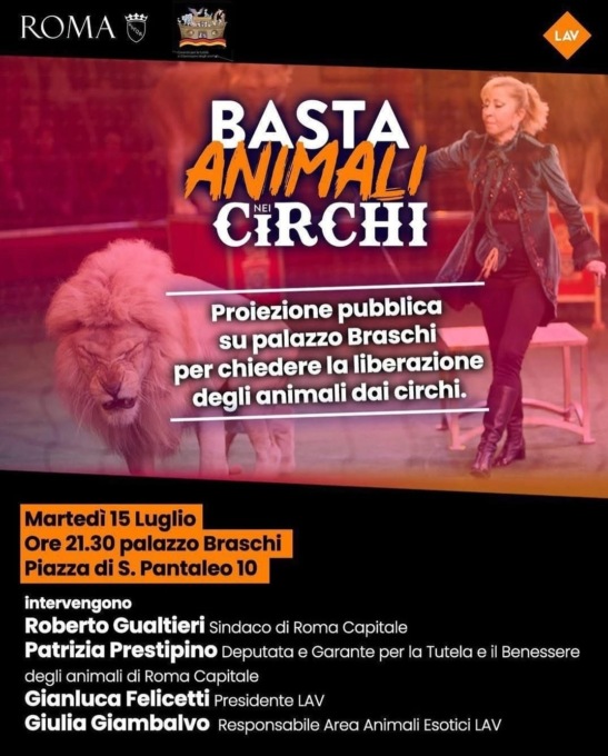 Animali nei circhi, la manifestazione
