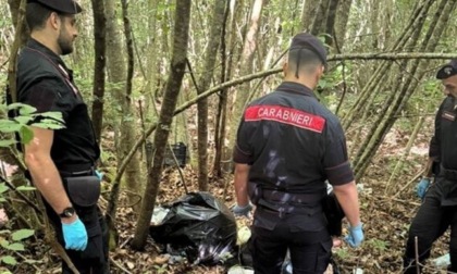 Spaccio nei boschi del Viterbese, decine di arresti