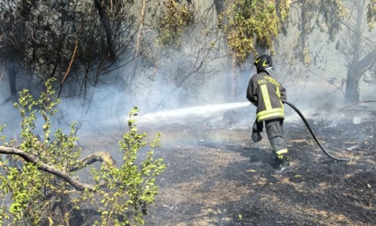 Vasto incendio in via del Casale Lumbroso e a Fiumicino