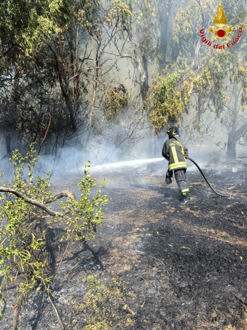 Vasto incendio in via del Casale Lumbroso e a Fiumicino