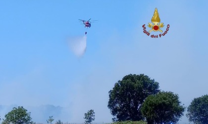 Vasto incendio di sterpaglie in via della Cacciuta