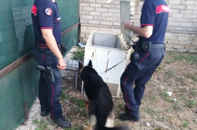 Operazione Antidroga dei Carabinieri, arrestate 14 persone