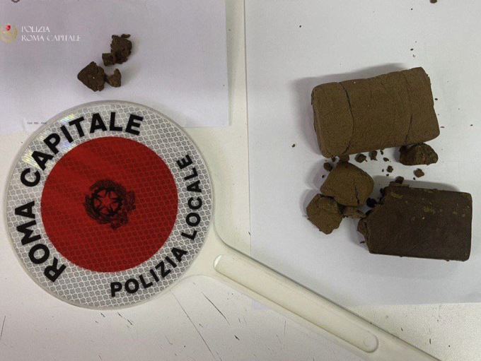 Malamovida, controlli a tappeto della Polizia Locale