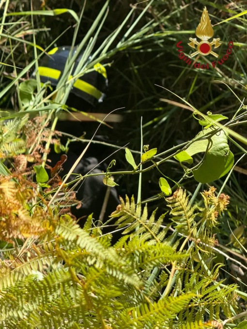Uomo cade in un dirupo al Nomentano, tratto in salvo dai vigili del fuoco