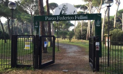 Riapre l'area della Pineta "Federico Fellini" dopo l'abbattimento degli alberi a rischio
