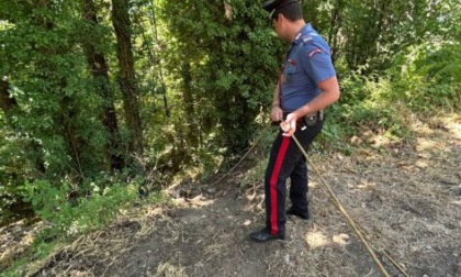 Uomo trovato morto in un bosco, accanto altre ossa