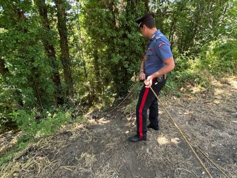 Uomo trovato morto in un bosco, accanto altre ossa