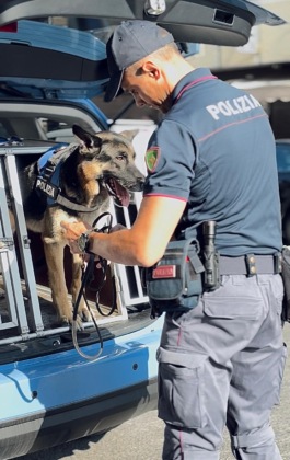 Spaccio lungo la “filiera alimentare”: 9 arresti, sequestrati 3 kg di droga
