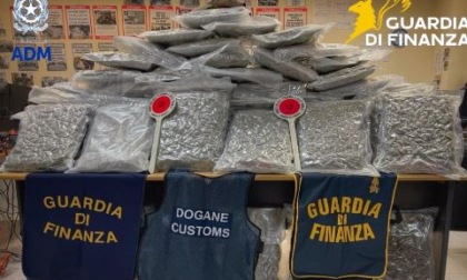 Maxi sequestro di droga al porto: arrestato cittadino bulgaro