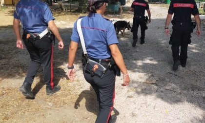 Altre sette persone arrestate per droga dai Carabinieri