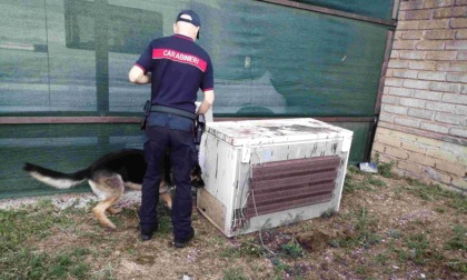 Droga nel carcere,  10 arresti