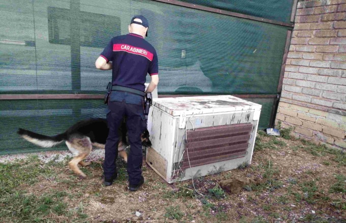 Droga nel carcere,  10 arresti