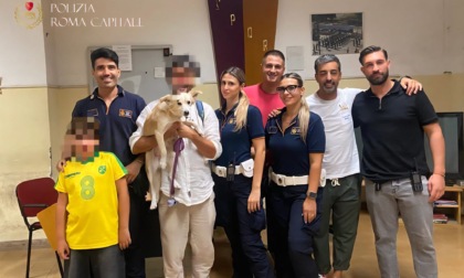 Turisti smarriscono il cane, ritrovato in poco tempo dalla Polizia Locale