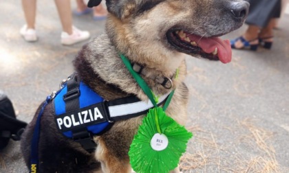 ROMA-GENOVA: Rex, il poliziotto a quattro zampe premiato per la sua fedeltà
