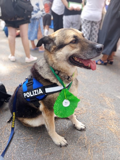 ROMA-GENOVA: Rex, il poliziotto a quattro zampe premiato per la sua fedeltà