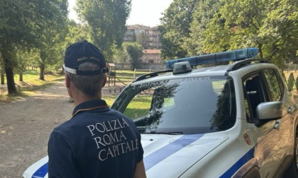 Giovane aggredita e ferita dal cane, la padrona scappa