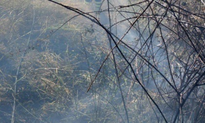 Incendi, diversi interventi dei Vigili del Fuoco
